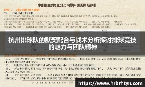 杭州排球队的默契配合与战术分析探讨排球竞技的魅力与团队精神